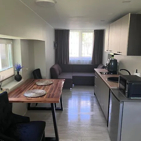 Appartement Cozy Lux In Palanga, On Sodu Street