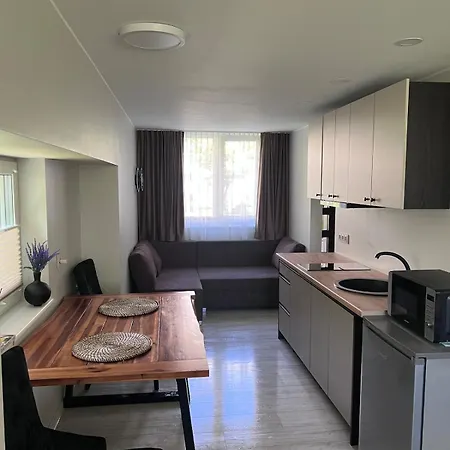 Appartement Cozy Lux In Palanga, On Sodu Street