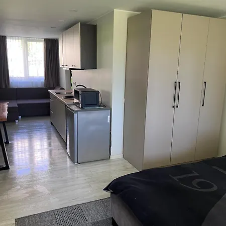 Appartement Cozy Lux In Palanga, On Sodu Street